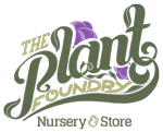 plant-foundry