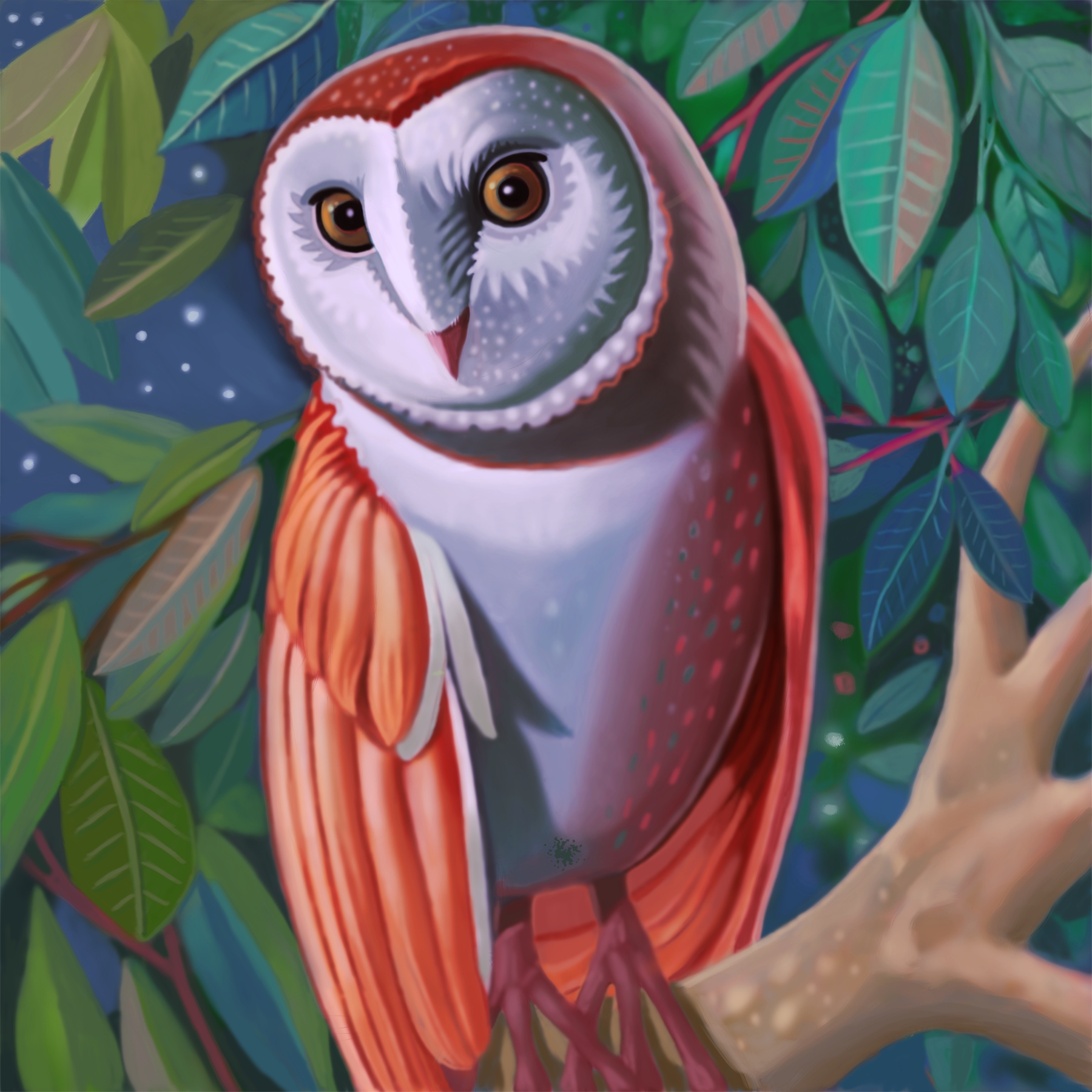 barn owl artwork